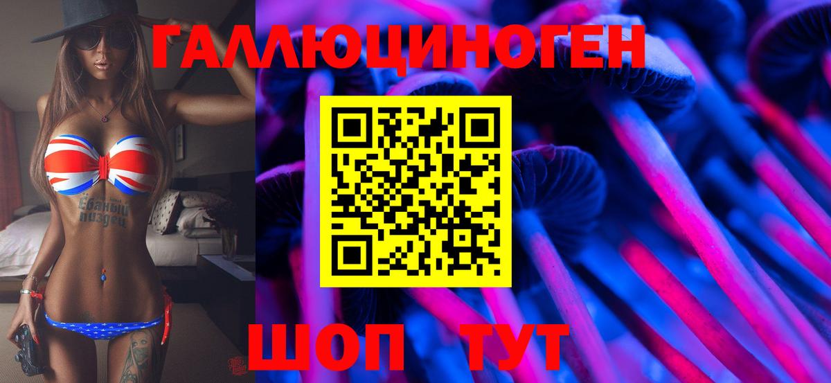 купить наркотики цена  Вход с VPN  Петропавловск-Камчатский  Псилоцибиновые грибы Cubensis 