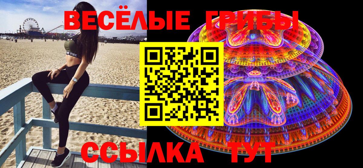 Галлюциногенные грибы Psilocybe Петропавловск-Камчатский